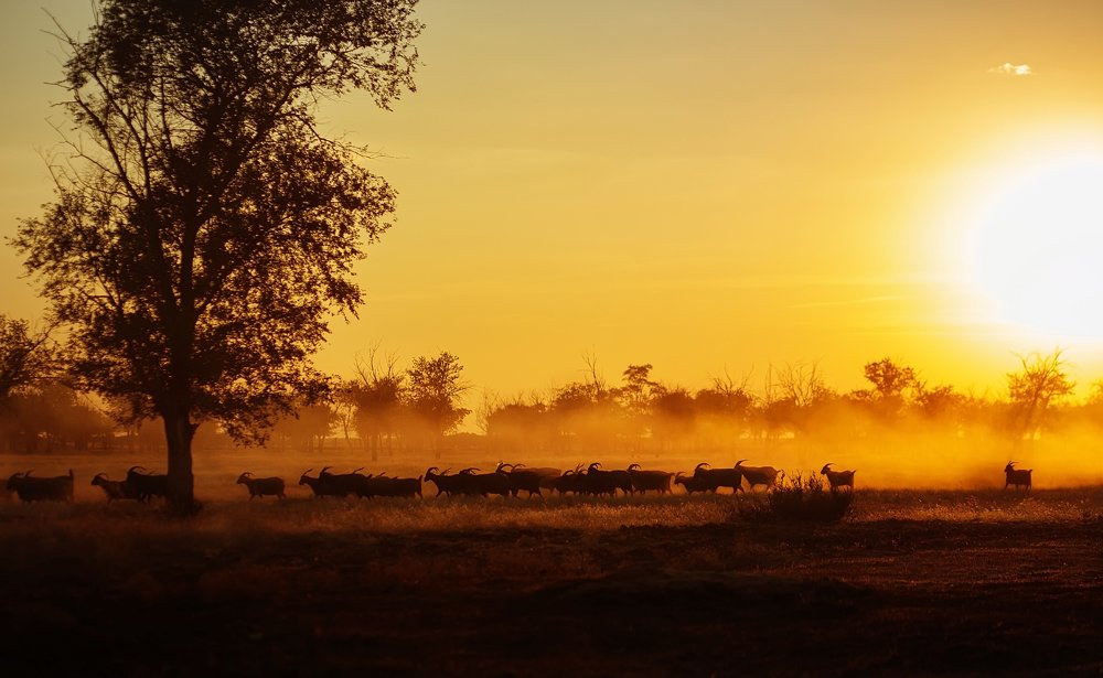 Photograph by Наталья Гранфельд
