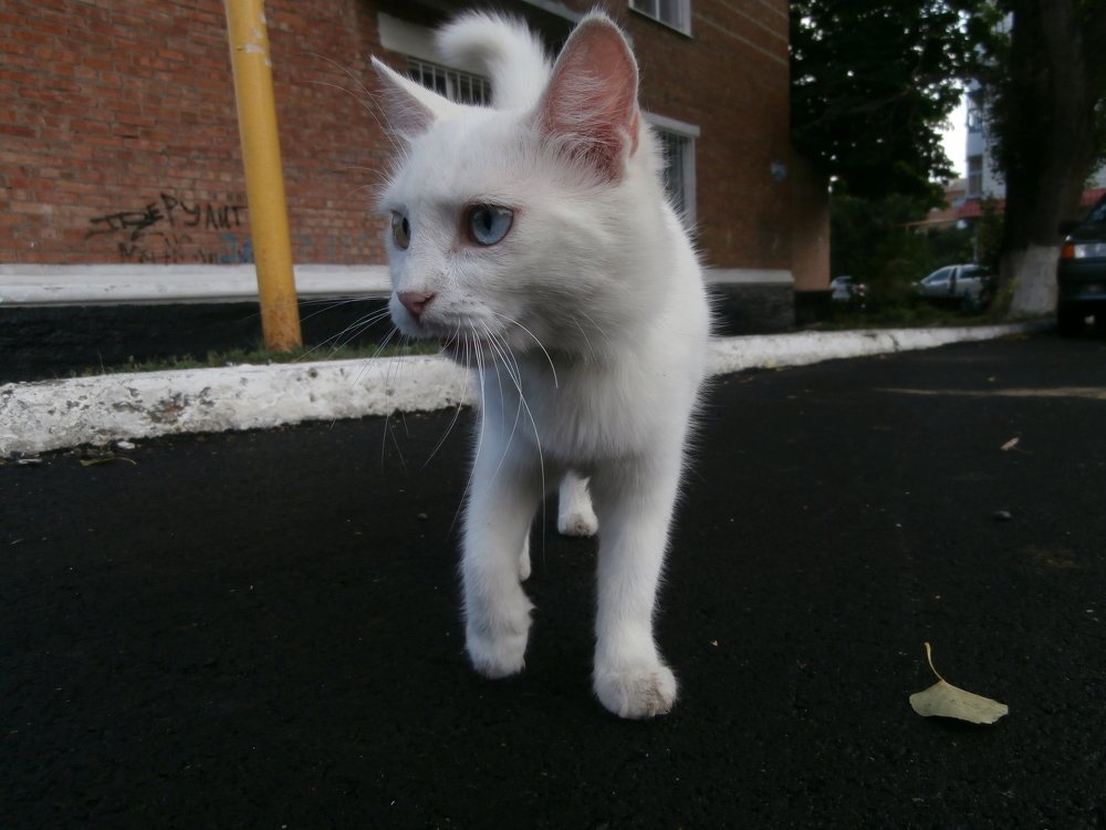 Фотография автора Артемий Николаевич