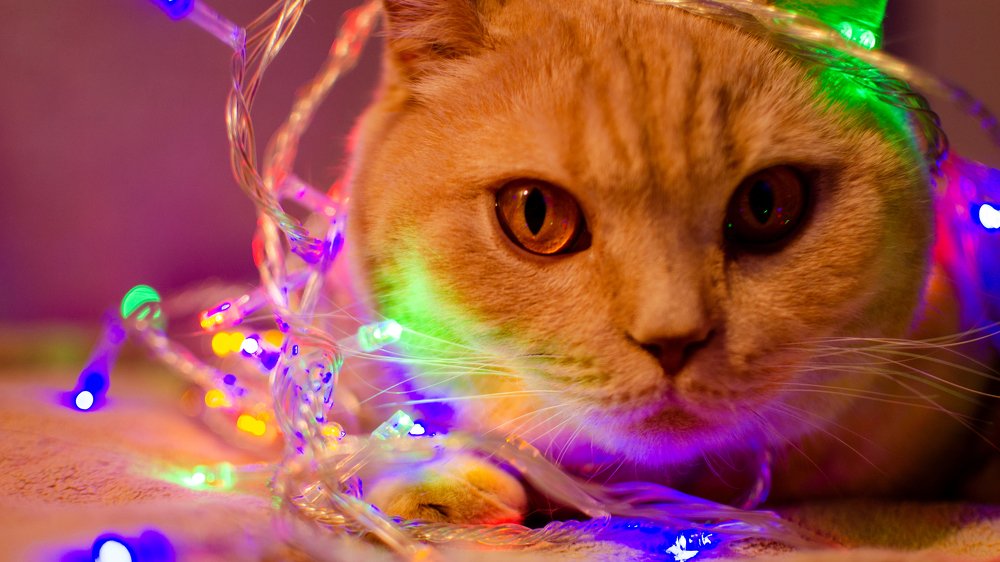 Photograph by Дмитрий Баш