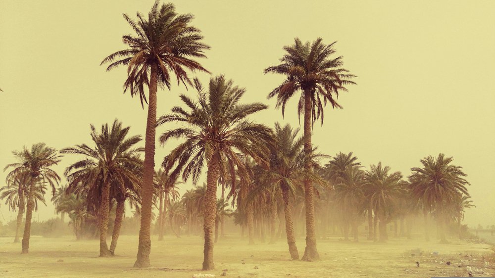 Photograph by Noora HT