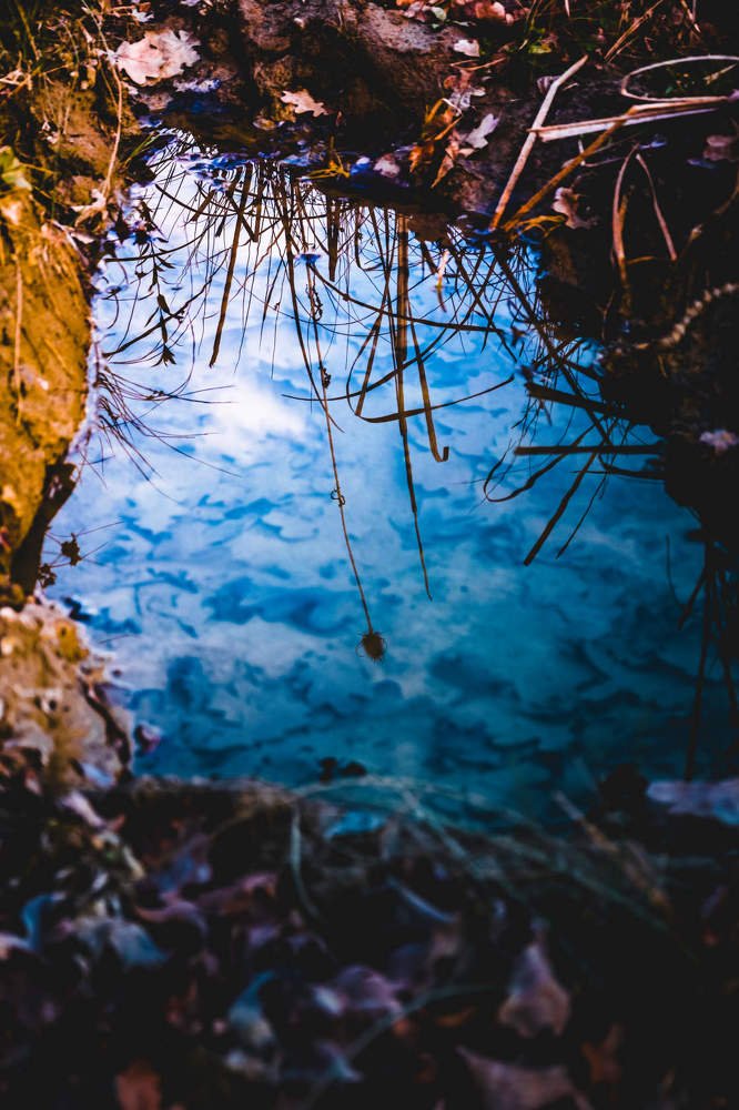 Photograph by Оксана Кийкова