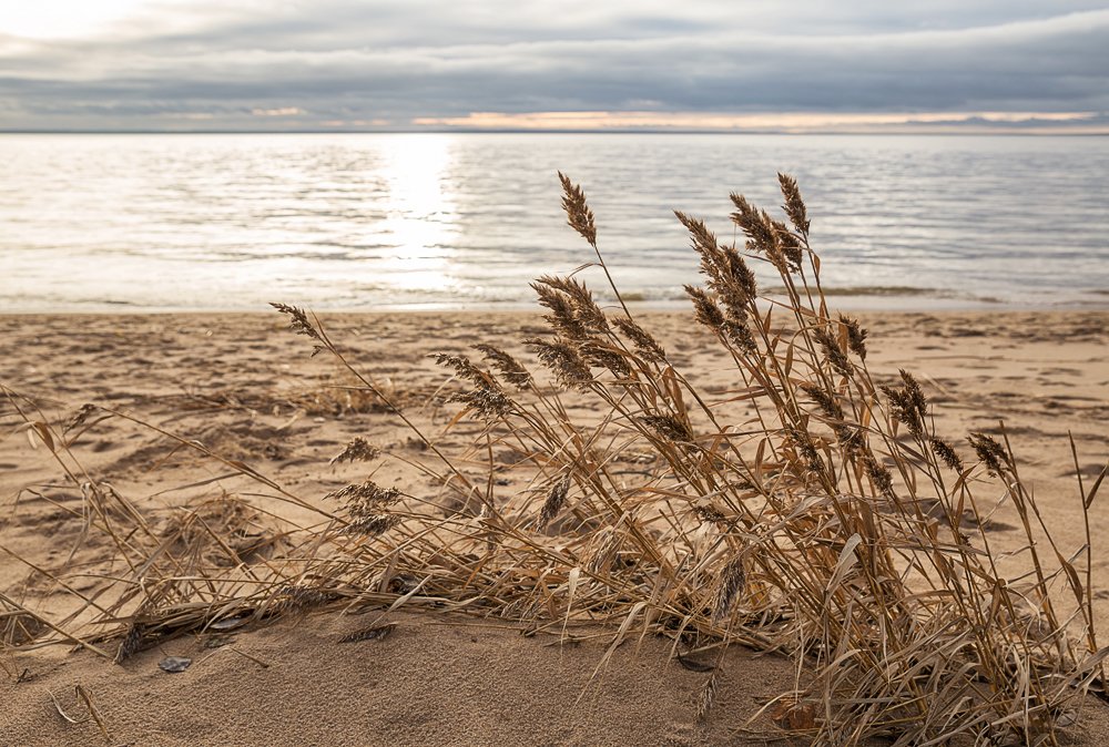 Photograph by Бабкина Юлия