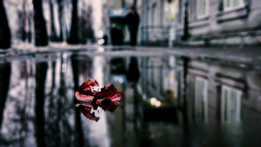 Последний лист