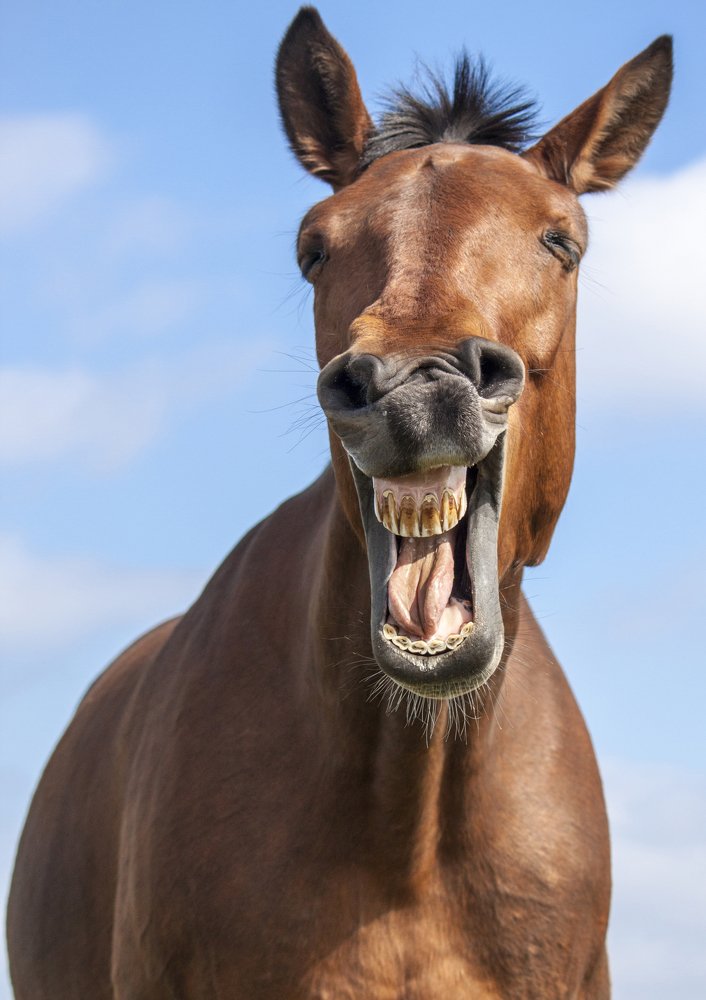 Жуйте Орбит без сахара!