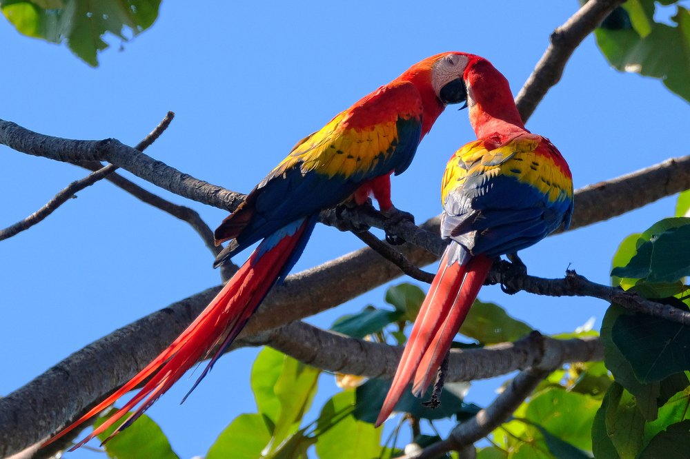 Photograph by Ирина Худзинская