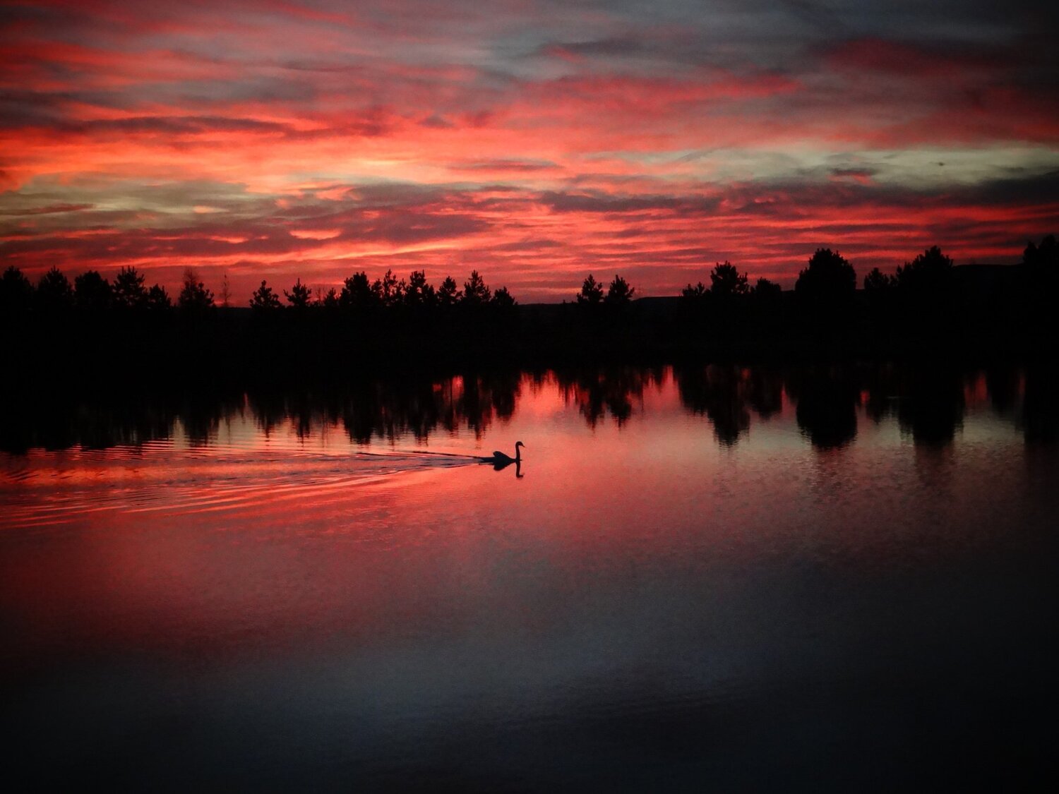 Photo #5111414