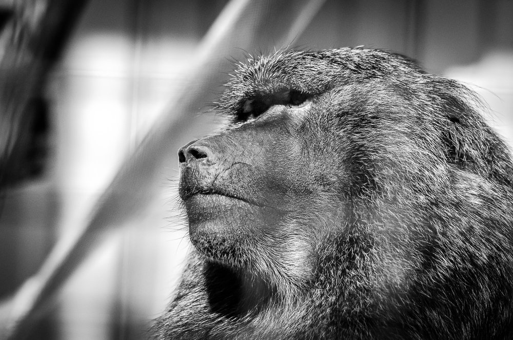 Фотография автора Владимир Брызгунов