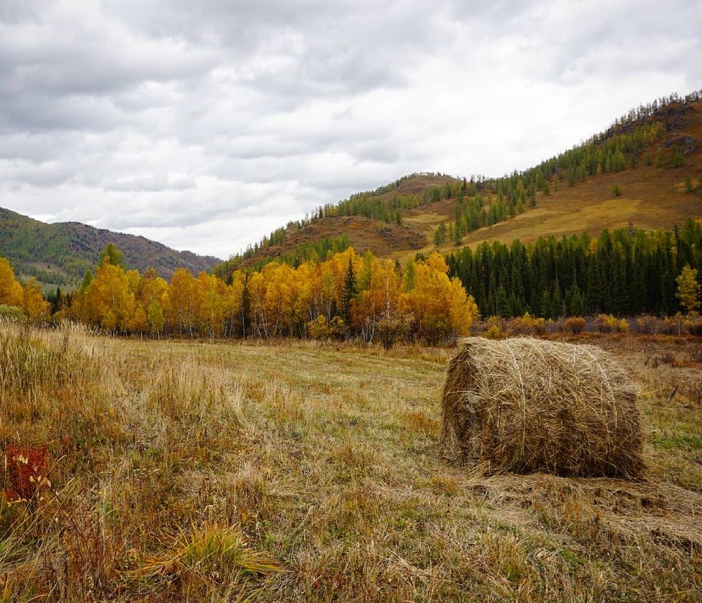 Осень в Горном Алтае