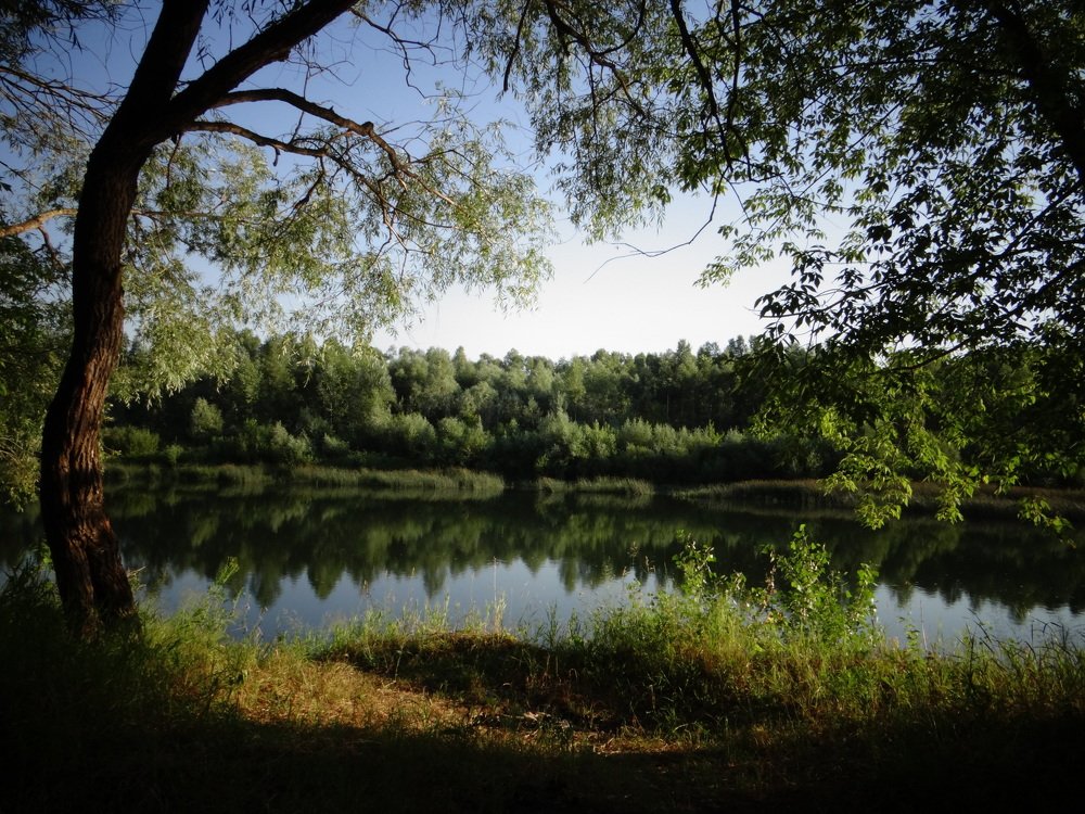 Photo #5111545