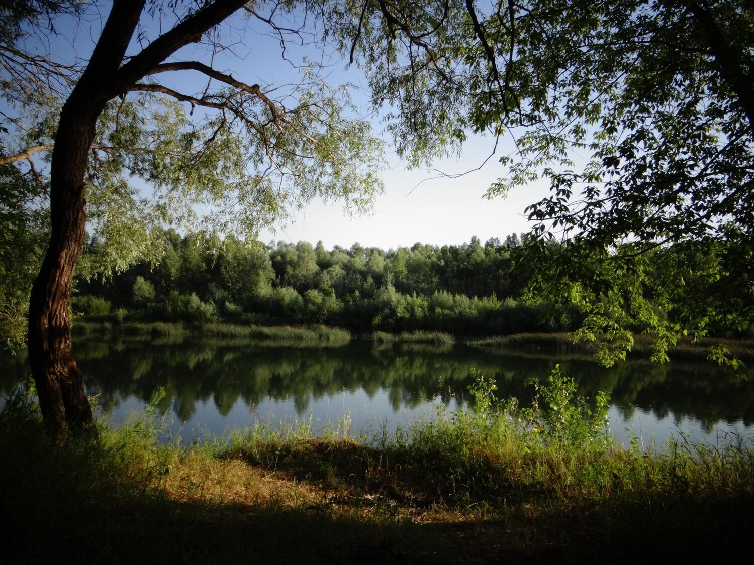 Photo #5111545