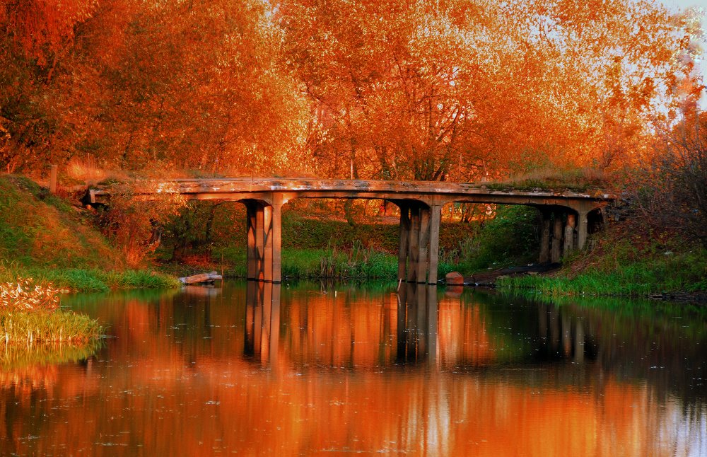 Буйство осени