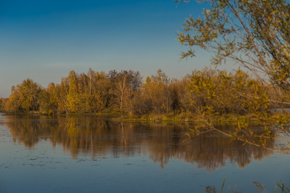 Фотография автора Оркина Ксения