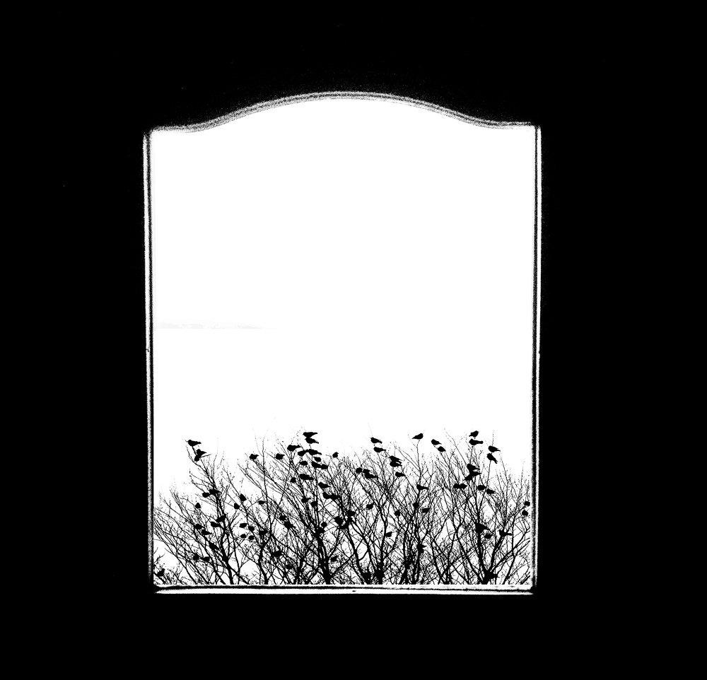 Photograph by Viviana García