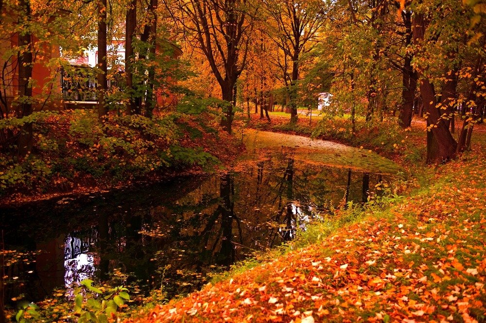 Укромные уголки парка