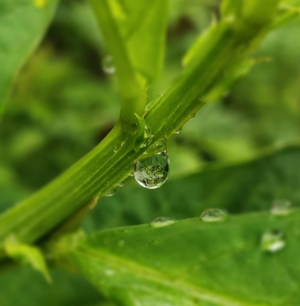 Photograph by Dutta Ankita