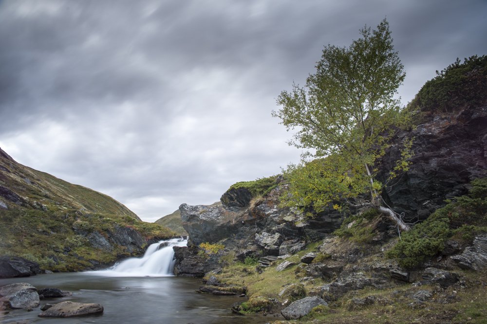 The slow moving river