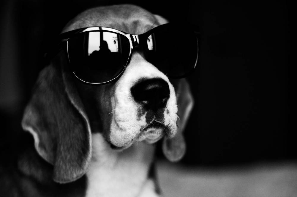 Photograph by Yulia Kiseleva