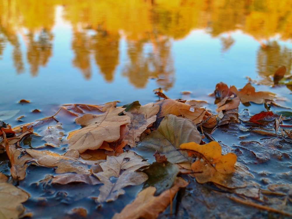 Фотография автора Виталия Латаш