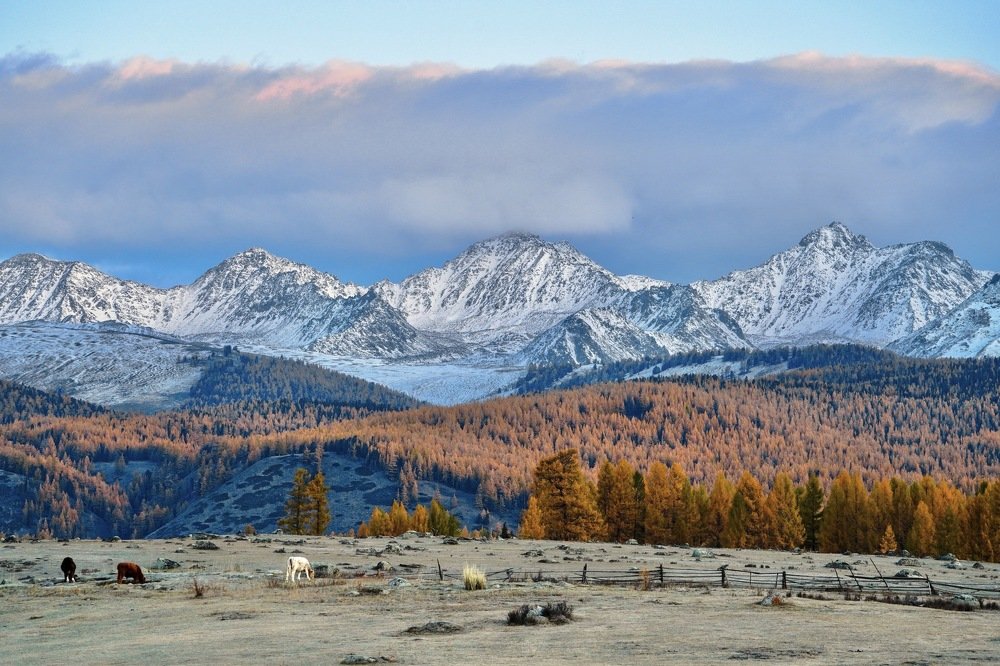 Photograph by Андрей Кузнецов