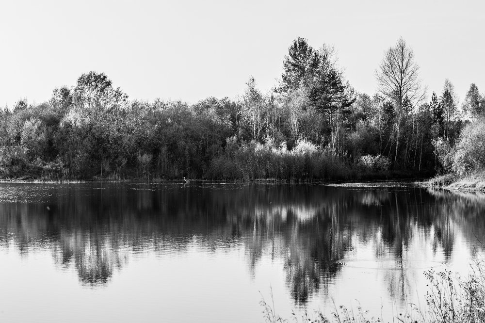 Фотография автора Оркина Ксения