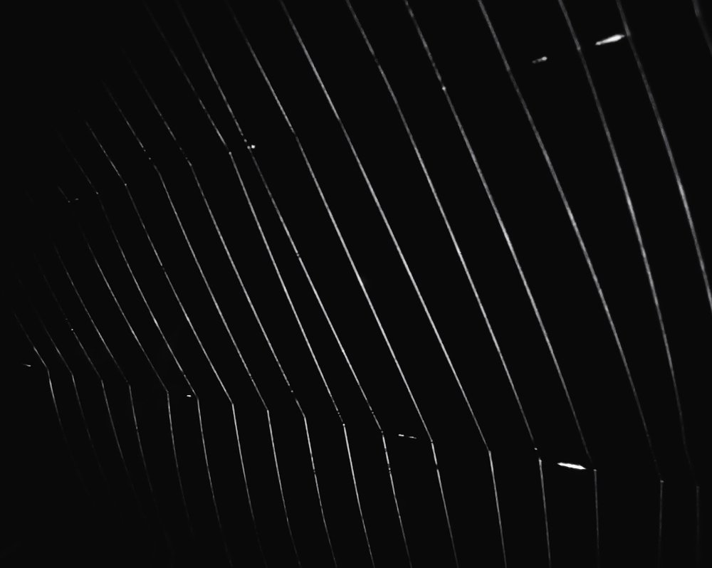 Photograph by Bistupada Mondal