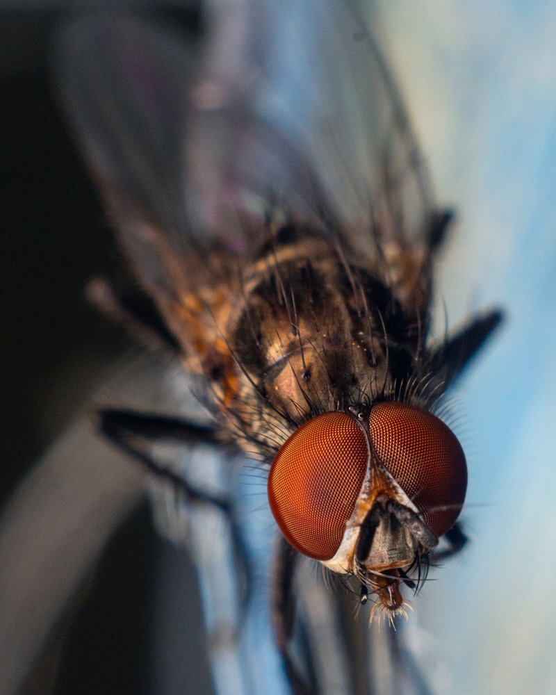 Photograph by андрей гусев