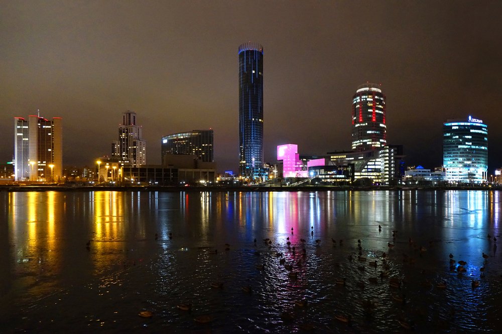 Городские утки…