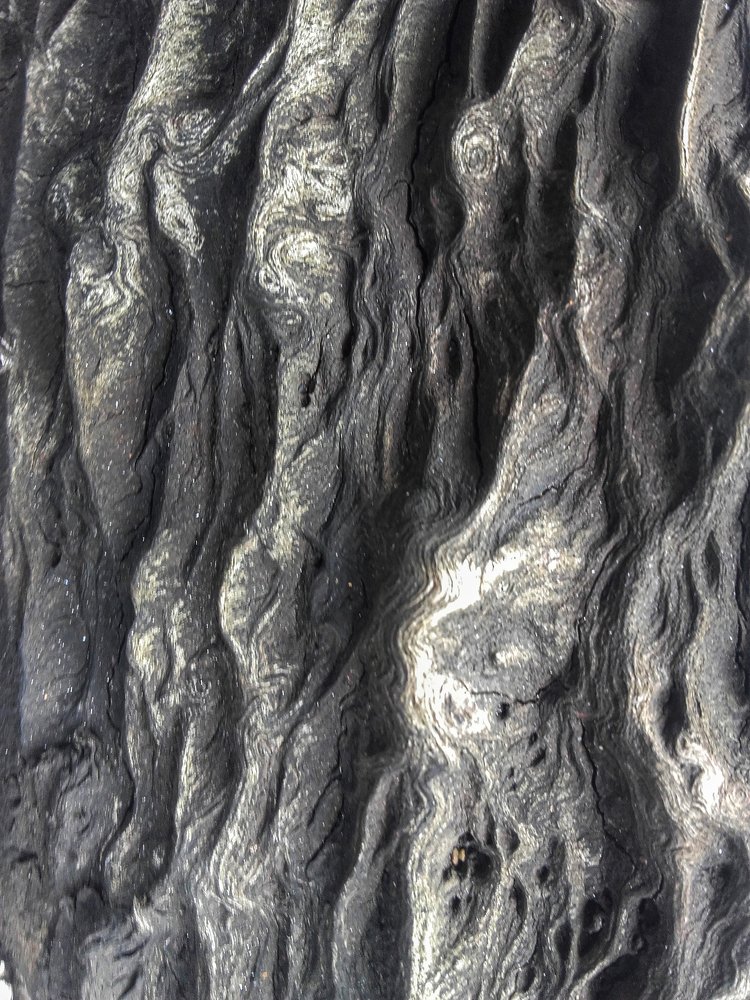 Photograph by Chamara Sulakkhana Polwatta Siriyalage