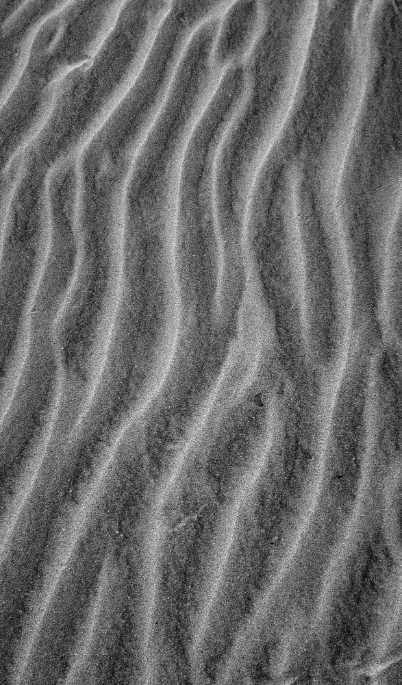 Photograph by Chamara Sulakkhana Polwatta Siriyalage