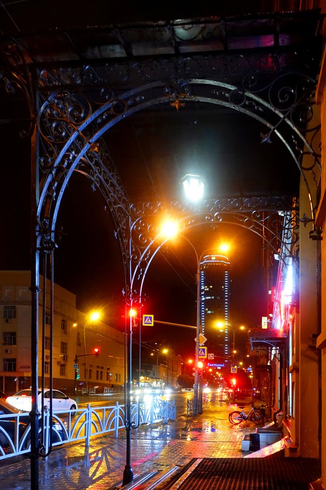 В зеркале ночного дождя…