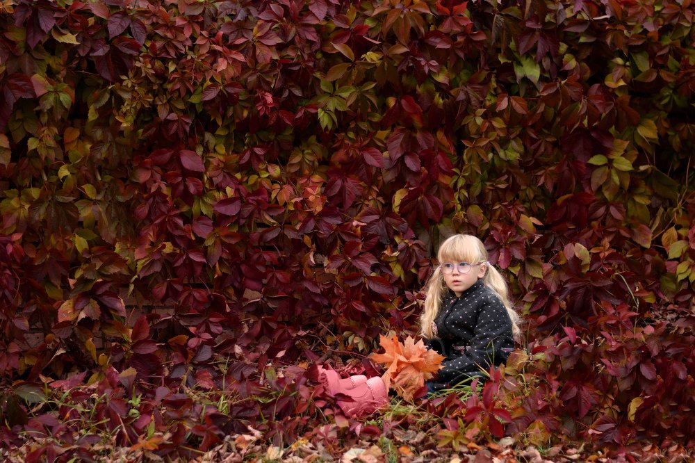 Photograph by 