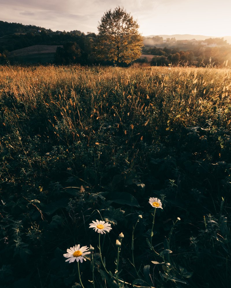 Photograph by Belmin Mesanovic