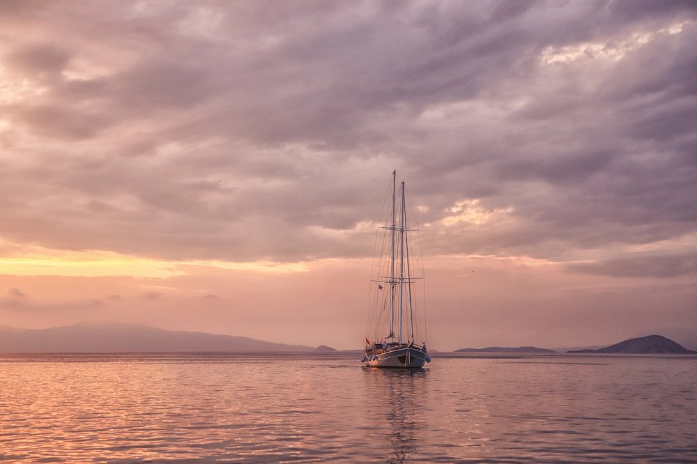 Фотография автора Светлана Радюшина