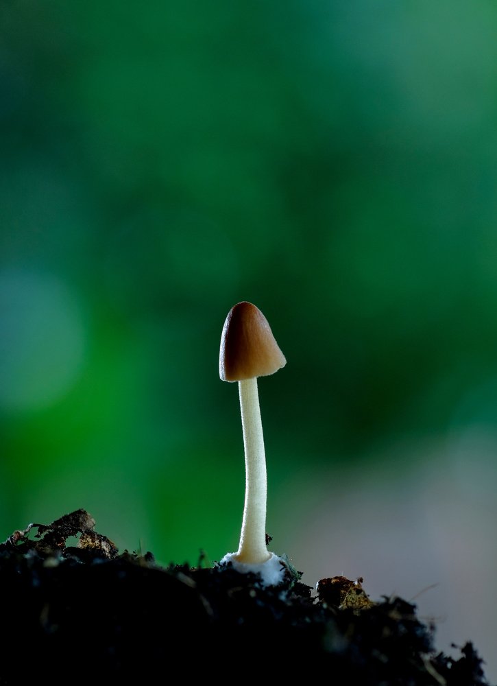 Photograph by Chuah Christopher