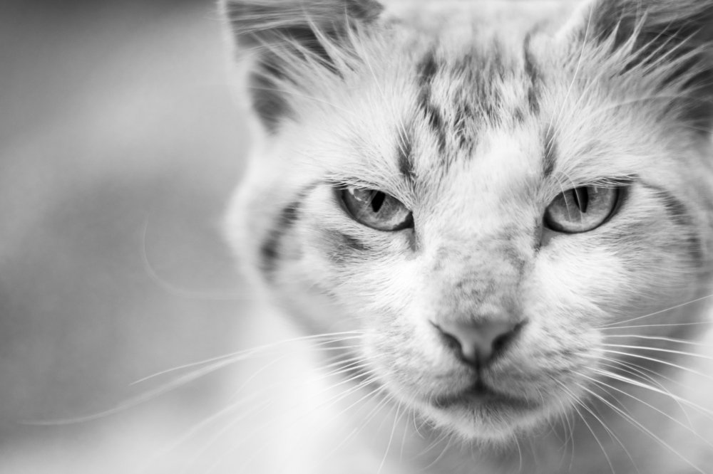 Photograph by Vasilis Christou