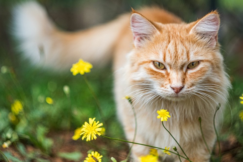 Photograph by Vasilis Christou
