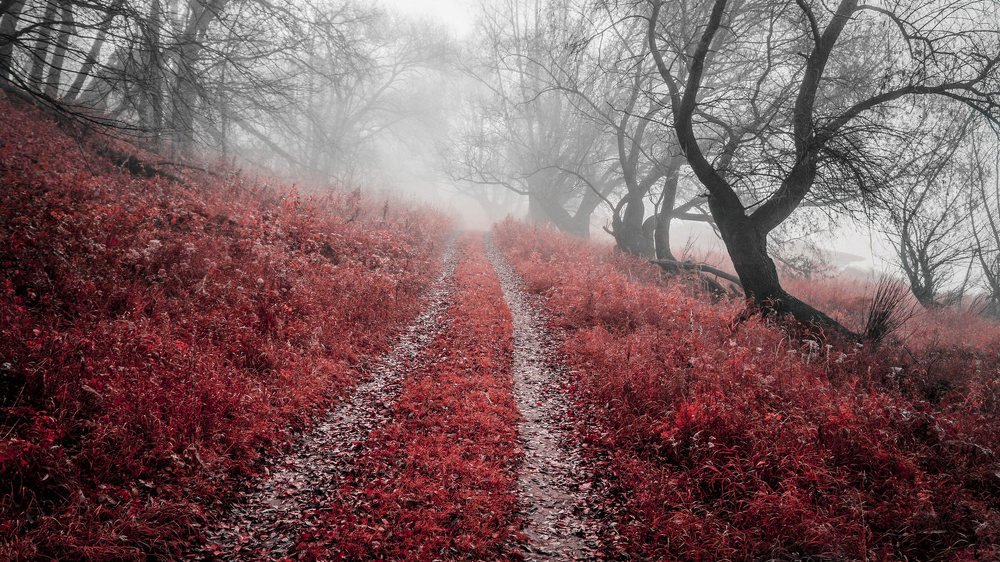 Photograph by Romanov Denis