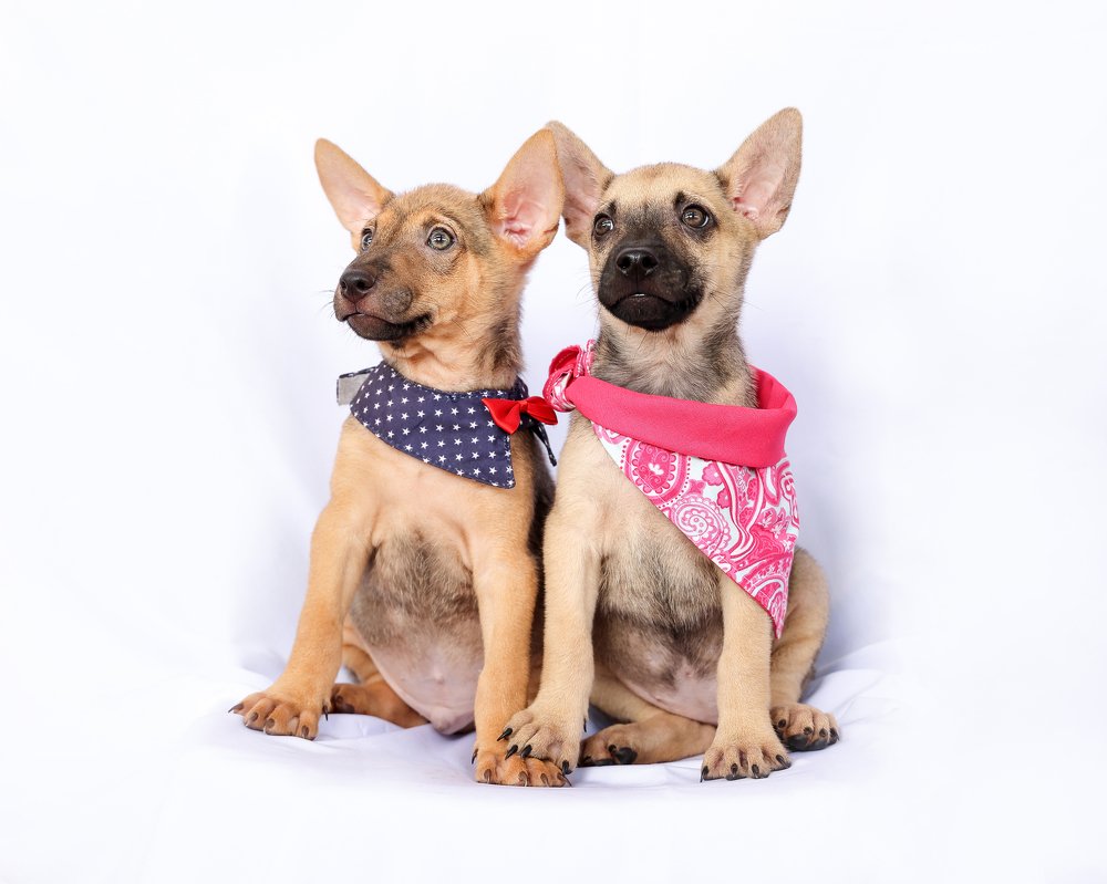 Photograph by Mohd Oqba Bin Abdul Malek