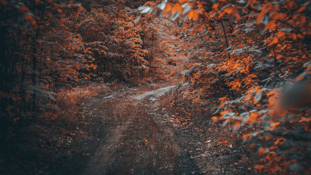 Photograph by Romanov Denis