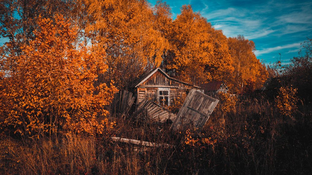 Photograph by Romanov Denis