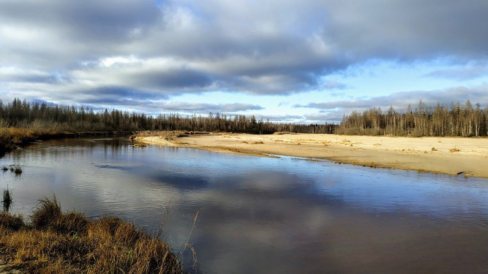 Северная природа