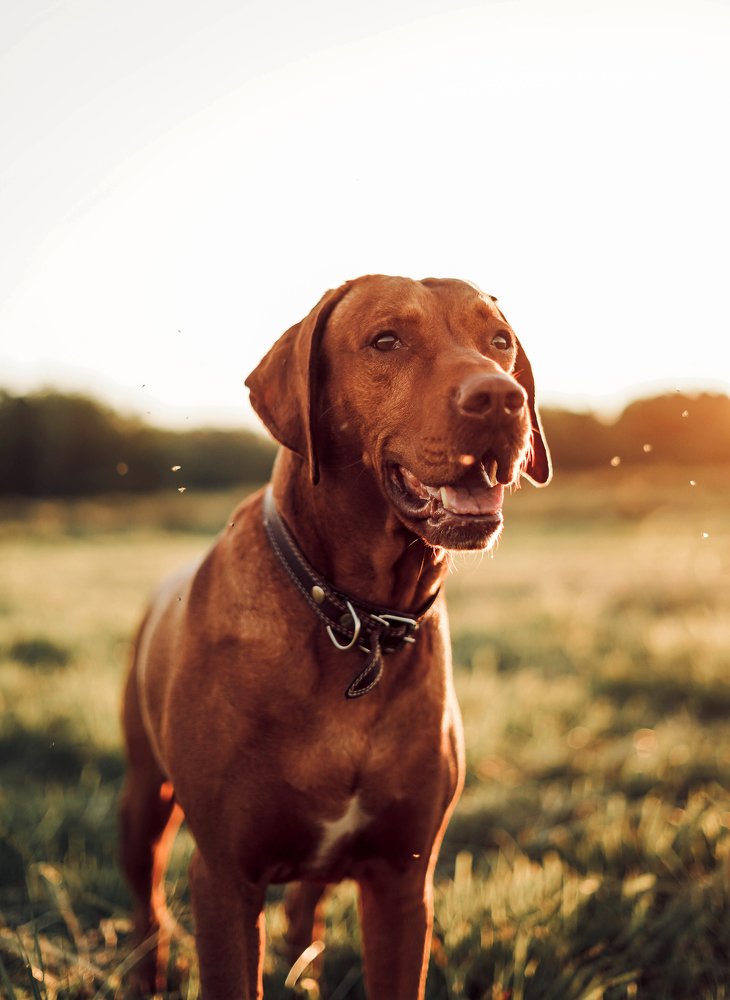 Photograph by Анна Чалая