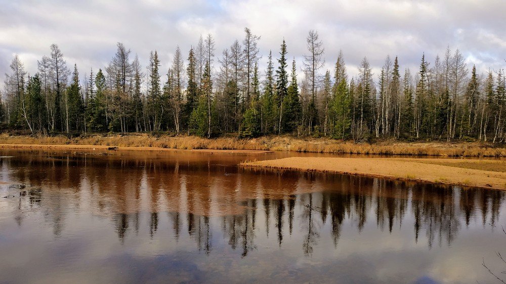 Северная природа