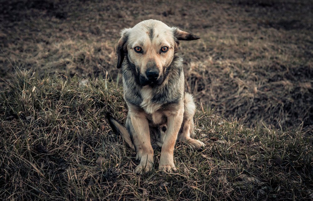 Photograph by Romanov Denis