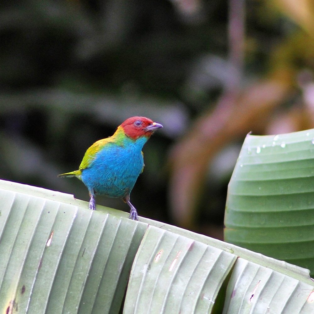 Photograph by Fernando Cano Busquets