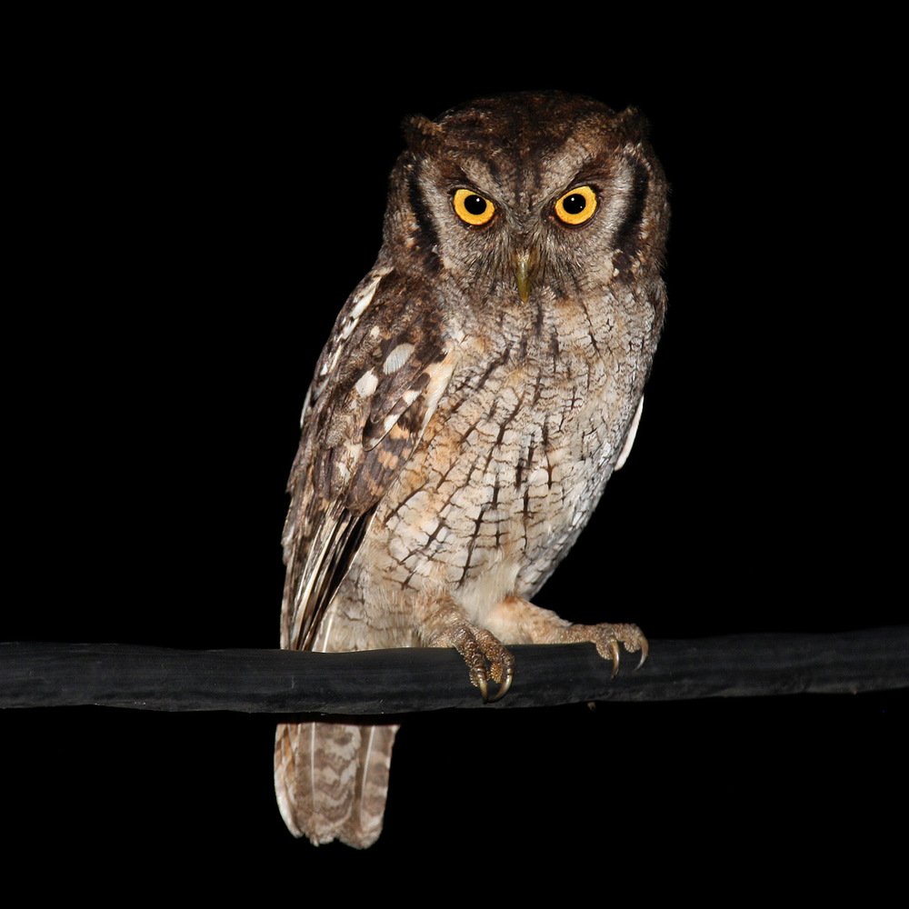 Photograph by Fernando Cano Busquets