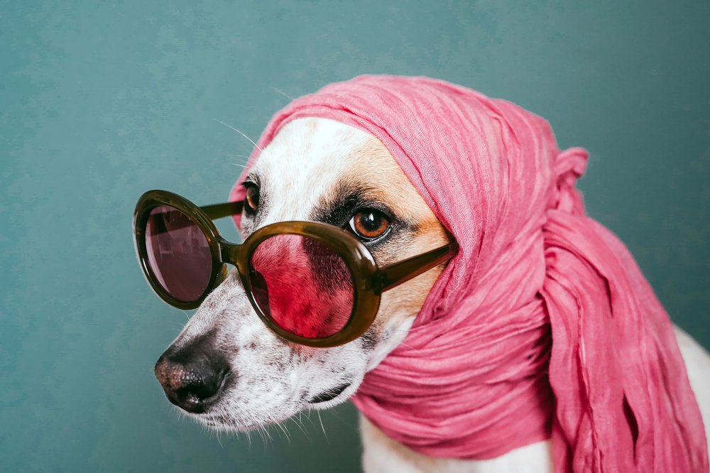 Photograph by Анна Чалая