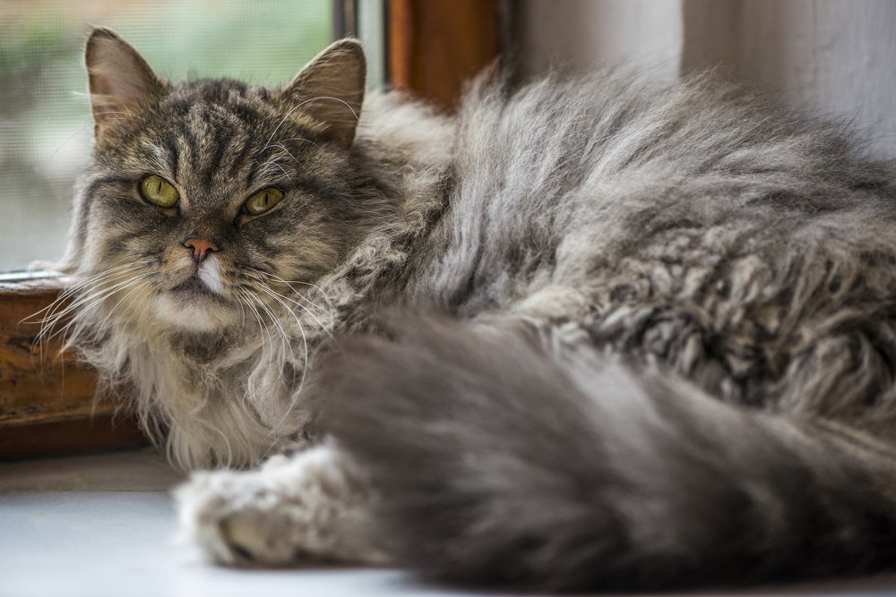 Неужели, осень...