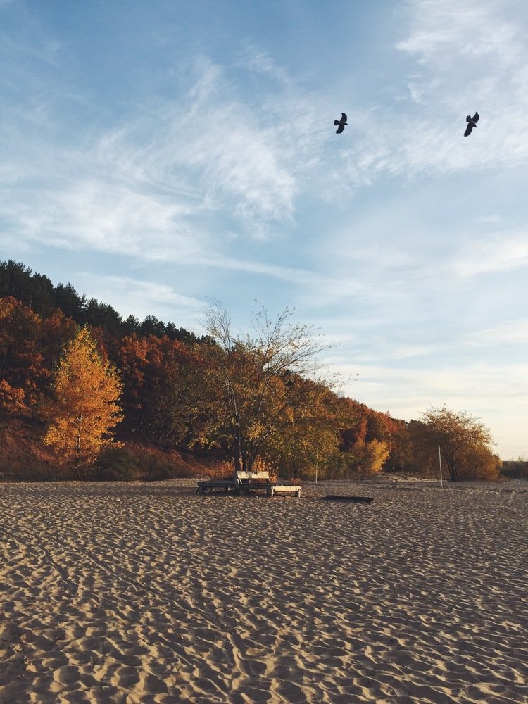 Photograph by Анастасия Чернякова