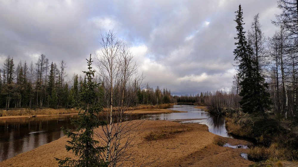 Северная природа